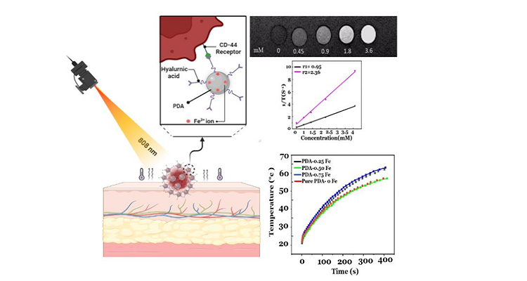 سنتز عامل ترانوستیک هدفمند مبتنی بر نانو ذرات پلی دوپامین/هیالورونیک اسید برای تصویر برداری MRI و نورگرمادرمانی