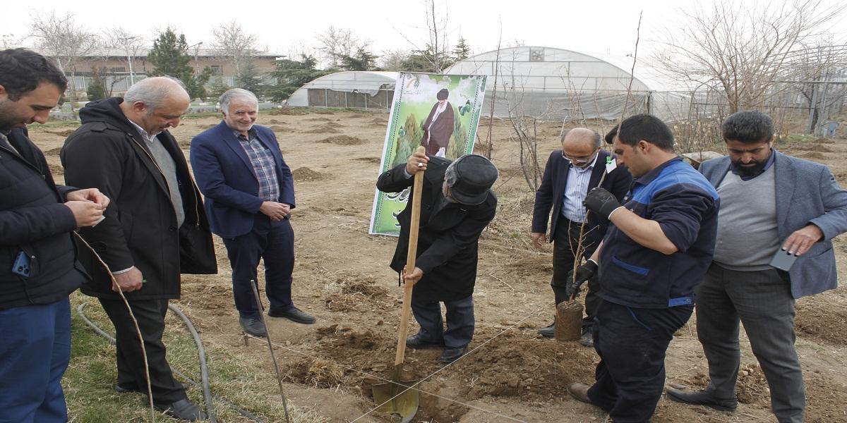 آئین روز درختکاری و پاکسازی محیط زیست در پردیس کشاورزی برگزار شد