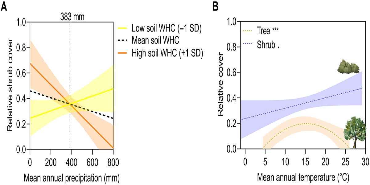 چاپ مقاله عضو هیأت علمی دانشگاه در مجله معتبر Science Advances 